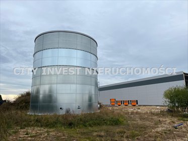 magazyn na wynajem 5000m2 magazyn Sulechów