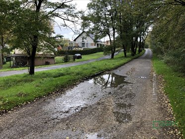 działka na sprzedaż 24662m2 działka Jankowice, Jankowice, Piaskowa