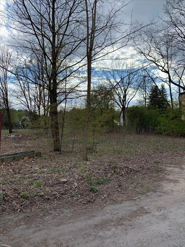 działka na sprzedaż 1545m2 działka Milanówek, Polesie