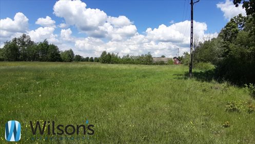 Działka budowlana na sprzedaż Morzyczyn-Włóki 3 000m2 Foto 5