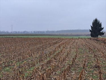 Działka 2217 m² z planem zagospodarowania w Złotnikach działka Złotniki, Złotniki, Kochonowskiego