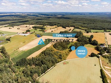 działka na sprzedaż 30100m2 działka Czarna Dąbrówka, Kaszubska