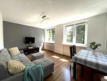 Zapraszam do wynajęcia 60 m² mieszkania w Katowicach mieszkanie Katowice, Dąb, Złota