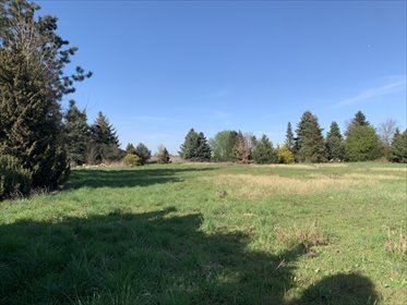 działka na sprzedaż 3856m2 działka Skałowo