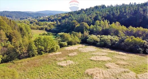 Działka budowlana na sprzedaż Czaszyn 38 200m2 Foto 2