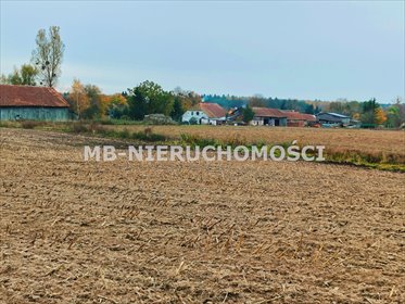 działka na sprzedaż 2937m2 działka Mingajny