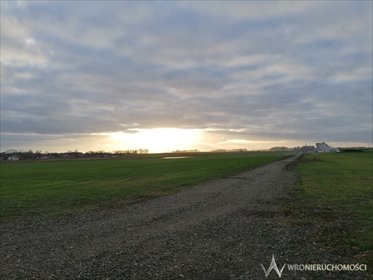 działka na sprzedaż 3000m2 działka Wierzbice