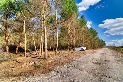 działka na sprzedaż 1200m2 działka Zaręby, Suchodolska