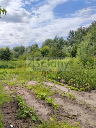 działka na sprzedaż 736m2 działka Chrzanów Mały