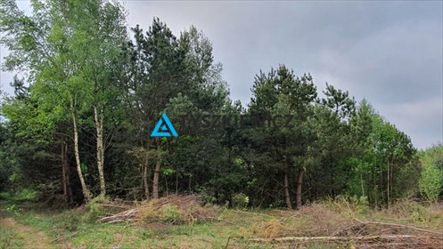 działka na sprzedaż 1395m2 działka Gdańsk, Kokoszki, Sianowska