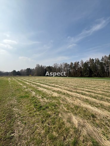działka na sprzedaż 955m2 działka Zebrzydowice
