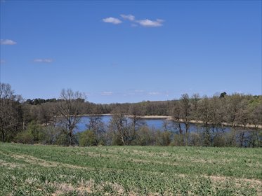 Działka nad jeziorem Mielęcino - 3100 m² z linią brzegową działka Chłopowo