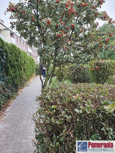 mieszkanie na sprzedaż 104m2 mieszkanie Szczecin, Gumieńce, Hrubieszowska