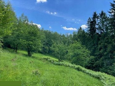 działka na sprzedaż 2882m2 działka Wisła
