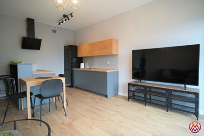 mieszkanie na wynajem 50m2 mieszkanie Łódź, Śródmieście, Żwirki