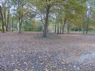 działka na sprzedaż 3006m2 działka Chojnów