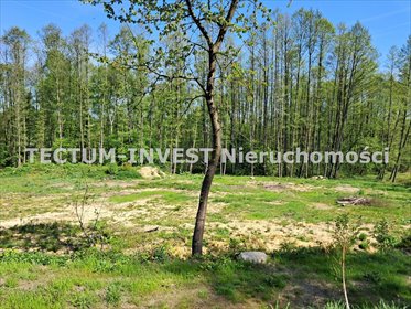 działka na sprzedaż 4754m2 działka Mszana