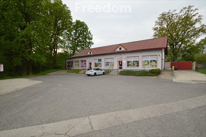 Wyjątkowa nieruchomość komercyjna w Krapkowicach – 795 m2 z dużym potencjałem lokal użytkowy Krapkowice, Kozielska