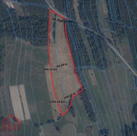 Działka inwestycyjna na sprzedaż Cierpisz 25 000m2 Foto 3