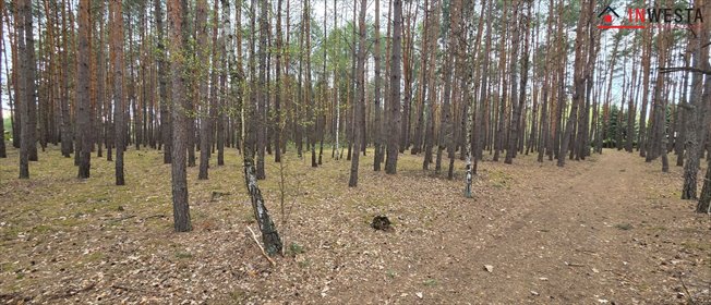 działka na sprzedaż 7886m2 działka Świniotop