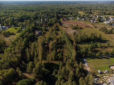 Działka budowlana 9700 m² w Adamówku zapraszam działka Adamówek