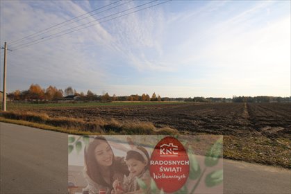 działka na sprzedaż 6558m2 działka Sobolew-Kolonia