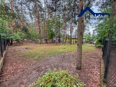 Sprzedam inwestycyjne 9961 m² w Jabłonnie z kortami i dochodem mieszkanie Jabłonna, Leśne Echa