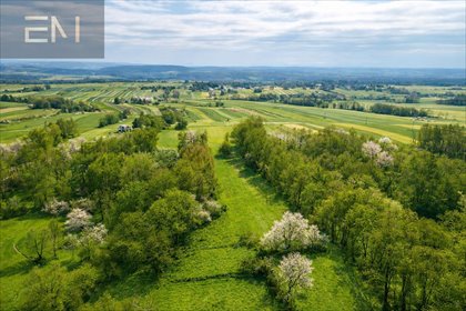 działka na sprzedaż 4215m2 działka Niepla