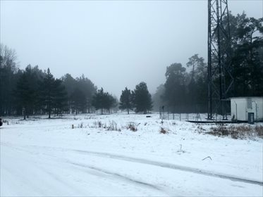 Działka inwestycyjna na sprzedaż Białebłoto-Kurza 20 159m2 Foto 4