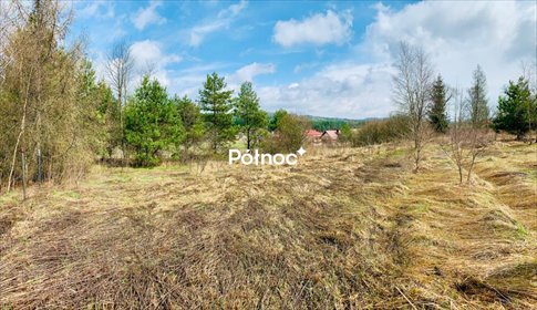 działka na sprzedaż 8217m2 działka Kwaśniów Górny, Hucisko