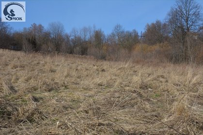 działka na sprzedaż 3660m2 działka Czasław