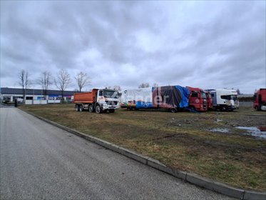 działka na wynajem 2000m2 działka Sokołów Małopolski