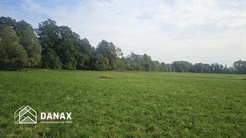 działka na sprzedaż 800m2 działka Cholerzyn