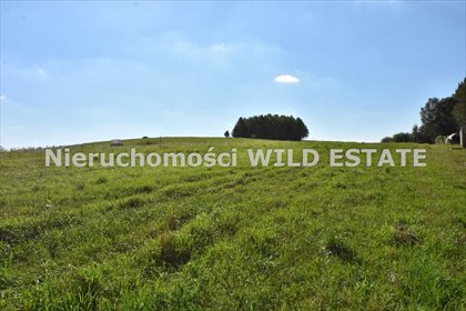 działka na sprzedaż 4546m2 działka Sanok, Trepcza