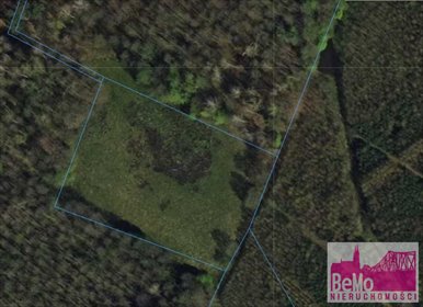 działka na sprzedaż 5464m2 działka Orłowo