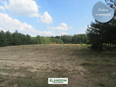 Działka inwestycyjna na sprzedaż Domaszew 7 600m2 Foto 1
