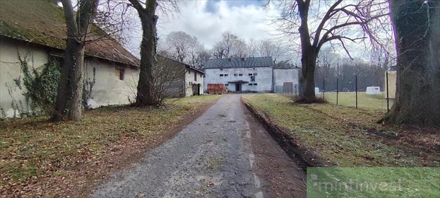 Do sprzedania inwestycyjny kompleks 675 m² z kanałem lokal użytkowy Budno