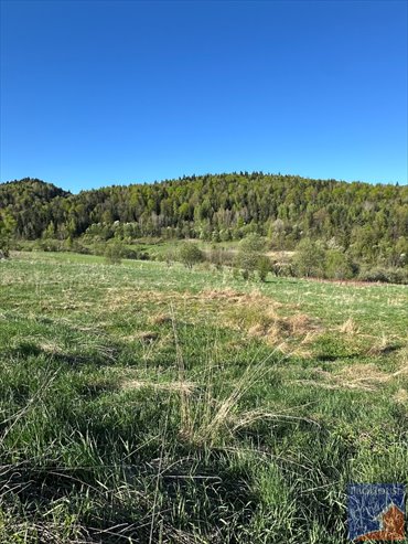 działka na sprzedaż 2700m2 działka Zbludza