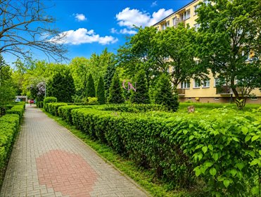 Nowoczesne 4-pokojowe mieszkanie po remoncie, balkon, piwnica mieszkanie Toruń, Stawki, Strzałowa