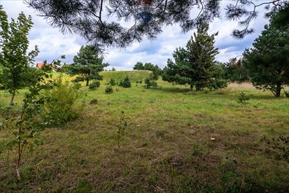 Działka budowlana na sprzedaż Zełwągi 4 648m2 Foto 5