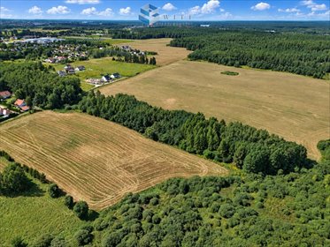 Działka 3124 m² pod 1-3 domy w Zwierzewie (blisko jeziora) działka Zwierzewo