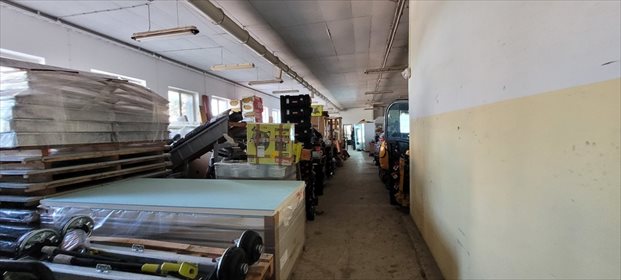 Magazyn na wynajem Przecław 375m2 Foto 3