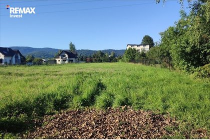 Zapraszam do zakupu działki 3100 m² w Pietrzykowicach działka Pietrzykowice, Adama Asnyka