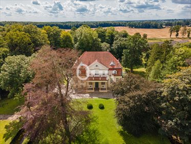 Wyremontowany pałac z 19 wieku na 25 ha z zabytkami zapraszam dom Marzewo
