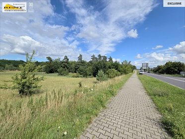 działka na sprzedaż 5500m2 działka Lubieszyn