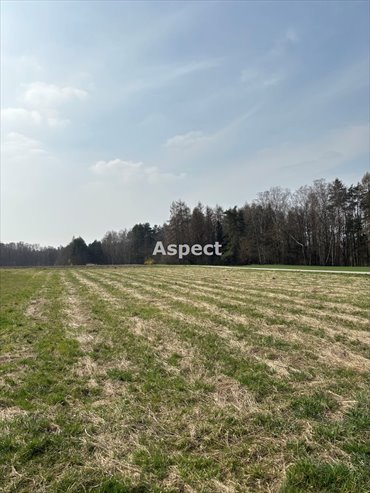 działka na sprzedaż 955m2 działka Zebrzydowice
