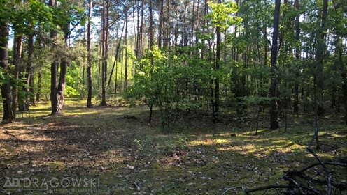 Działka rolna na sprzedaż Łękawica 11 842m2 Foto 7