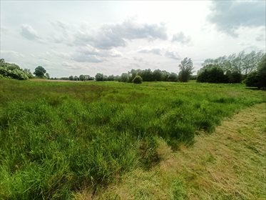 Działka rolna na sprzedaż Nowe Marzy 7 800m2 Foto 2