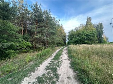 Rosanów, działka 3050m2, z ogromnym potencjałem. działka Rosanów, Długa