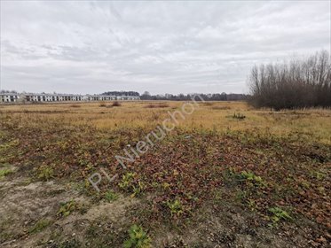 Teren inwestycyjny 2,5 ha (możliwość powiększenia do 5,5 ha) działka Janczewice